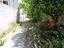 Immagine 24