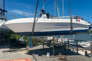 BLUMAX 6 M con motore 115 mercury