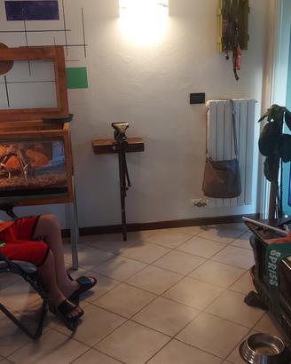morsa da fabbro antica