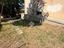 Immagine 16