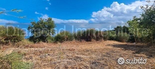 Terreno agricolo 3.800 mq panoramico a san gerardo - Vista 5