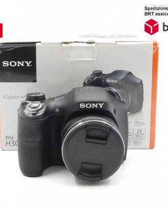 Sony H300