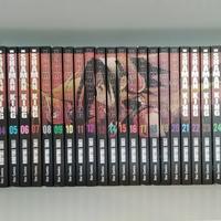 Shaman king perfect edition completo
