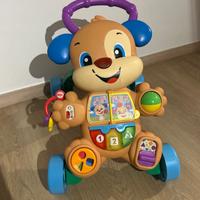 Cagnolino primi passi