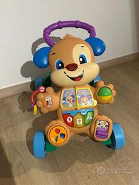 Cagnolino primi passi