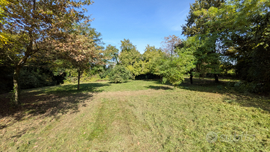 Terreno Agricolo con ricovero attrezzi