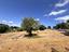 Immagine 26