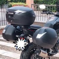 Tris valigie (3P System SHAD) per Honda cb500x '19