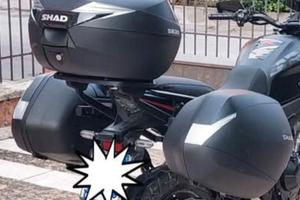 Tris valigie (3P System SHAD) per Honda cb500x '19
