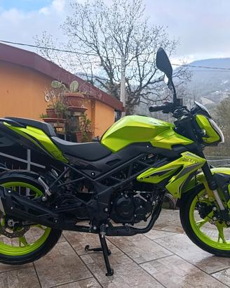 Benelli BN 125