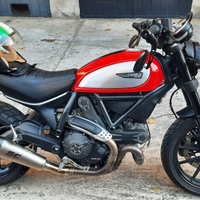 Ducati scrambler 800 icon del 2015