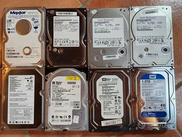Lotto di hard disks 3.5 pollici