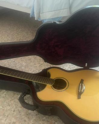 Chitarra acustica werther