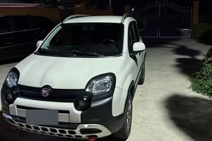 Panda cross