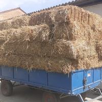Ballette di fieno