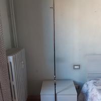 Canna da pesca solo struttura in carbonio 