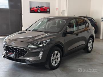 Ford Kuga 2.0 EcoBlue Hybrid 150 CV 2WD Connect