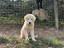 Immagine 29