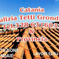 pulizia tetti grondaie