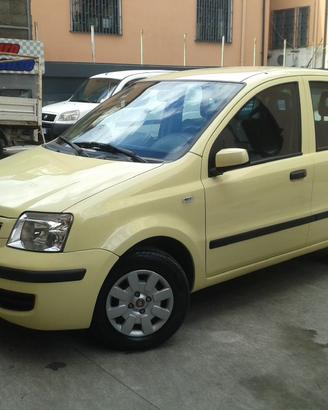 Carrozzeria panda