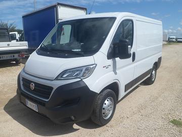 Fiat Ducato furgone tetto basso