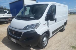 Fiat Ducato furgone tetto basso