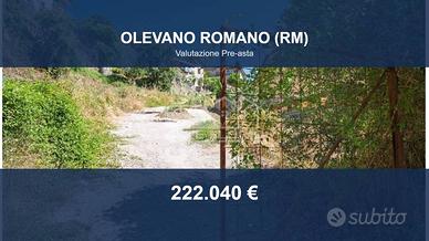 Immobile in asta di 17072 m² a Olevano Romano