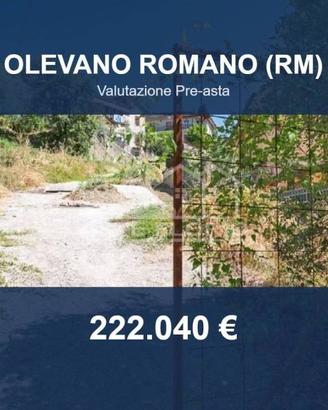Immobile in asta di 17072 m² a Olevano Romano