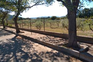 OLIVETO - ULIVETO (2300 mq.)