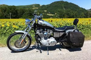 Harley Davidson 883 centenario