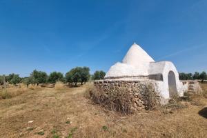 Trullo C.da Eredità
