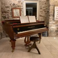 Bosendorfer 170, Pianoforte a coda