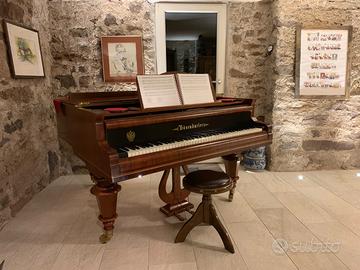 Bosendorfer 170, Pianoforte a coda