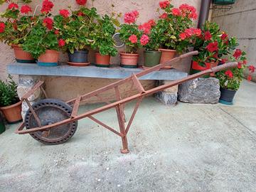 vecchia cariola da giardino 