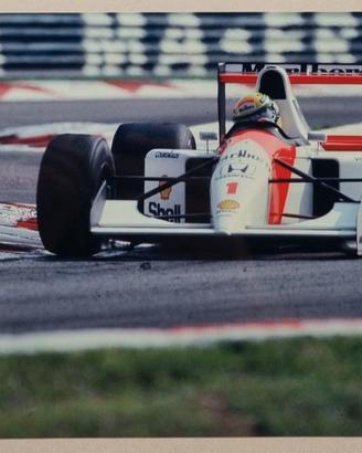 Ayrton Senna fotografie