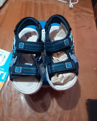 scarpe 