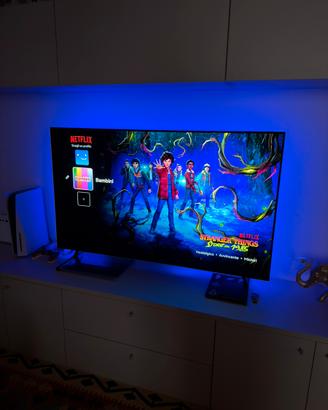 Sony Bravia 4K VH2 , Mod. XR-55A80J