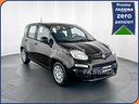 fiat-panda-1-0-firefly-s-s-hybrid-icon