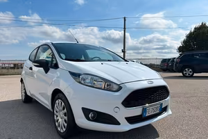 Ford Fiesta 1.5 TDCi 95CV 3 porte Van Entry