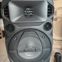 COPPIA DI CASSE ATTIVA + PASSIVA