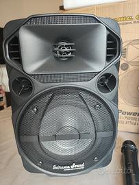 COPPIA DI CASSE ATTIVA + PASSIVA