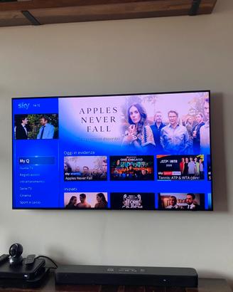 Samsung oled 55 pollici QE55S90CATXZT 4k