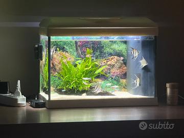 Acquario 40 litri