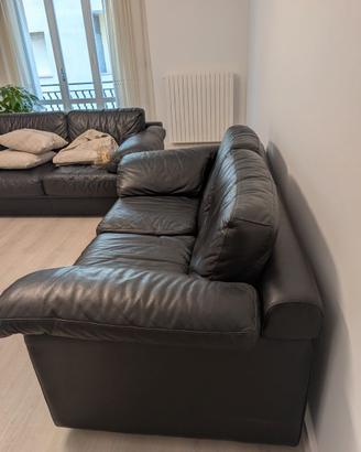 Divani in Pelle