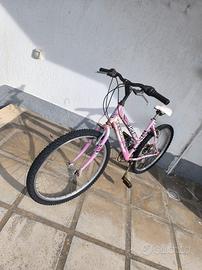 bicicletta Tecnobike 326