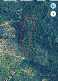 Terreno 5000 mq
