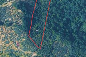 Terreno 5000 mq