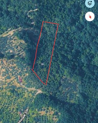 Terreno 5000 mq
