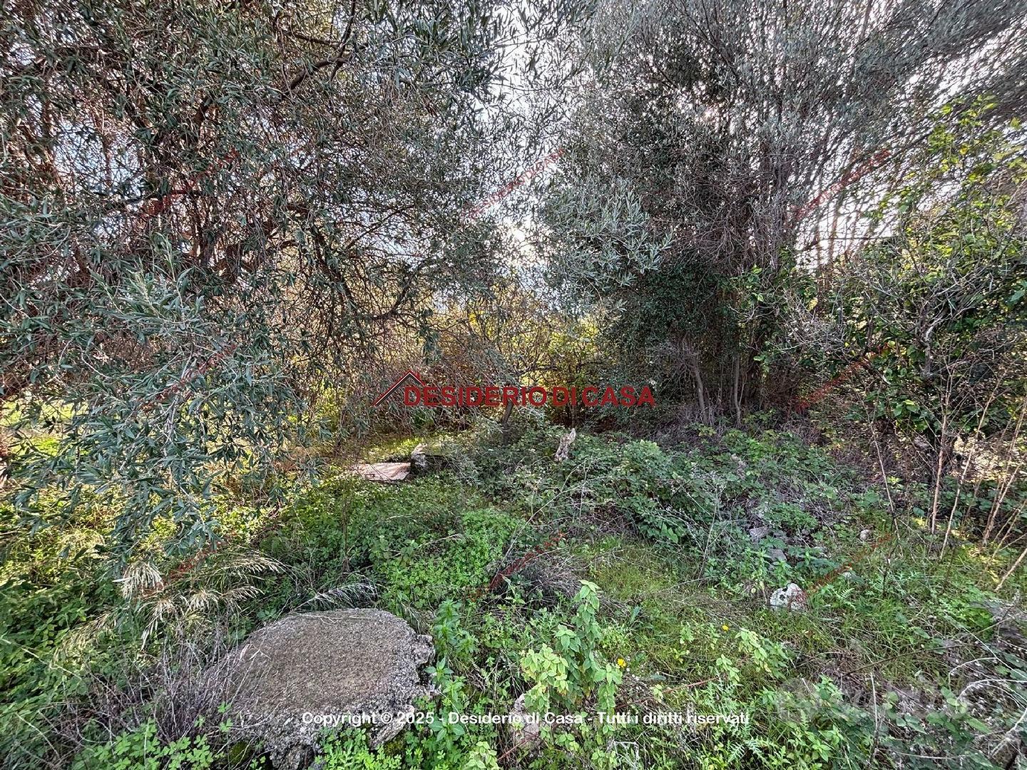 Terreno, Carini. - Vista 4