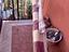 Immagine 5